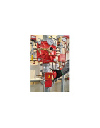 BFV-300 Butterfly Valve, Yiv Uçlar