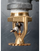 Model P22 ESFR Sarkık Sprinkler