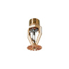 Model ESFR-25 25.2 K-factor Pendent Sprinkler Early Suppression, Fast Response
