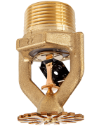 Model P22 ESFR Sarkık Sprinkler