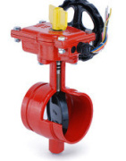 Kelebek Vana, Yiv - Yiv, Model D81X-362