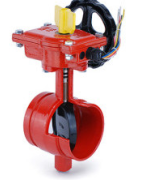 Kelebek Vana, Yiv - Yiv, Model D81X-362